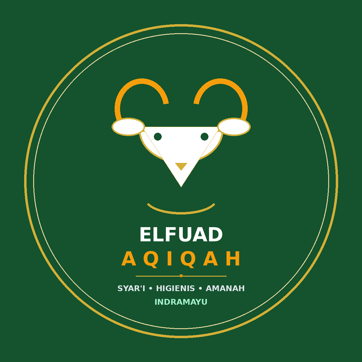 Logo Elfuad Aqiqah