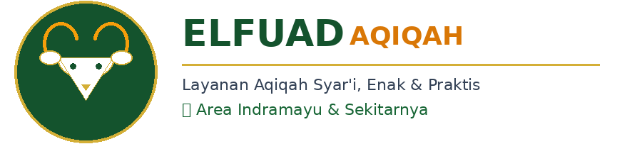 Elfuad Aqiqah